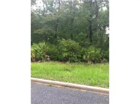 207 Barrington Oaks (Apn# 03-20247), Brunswick, GA 31523 