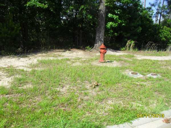 317 Lot, Savannah, GA 31419 