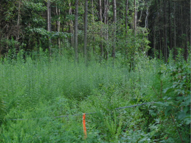 2061 Shallowford Road, Marietta, GA 30066 