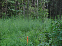 2061 Shallowford Road, Marietta, GA 30066 