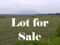 0 Lang Road, Covington, GA 30014 