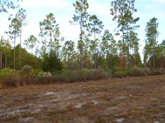 Land  Lot 86 Third L, Jesup, GA 31546 