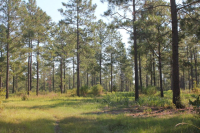 0 County Line Road, Wray, GA 31798 