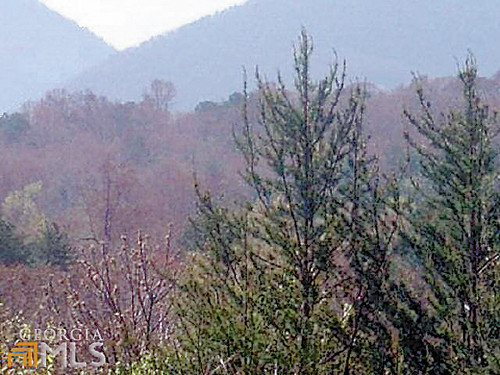 0 Leighs Crossing, Cleveland, GA 30528 