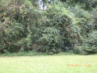 Lot17 Winding L, Hamilton, GA 31811 