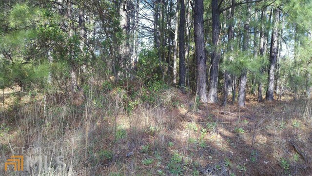 2856 S OLA Rd, Locust Grove, GA 30248 