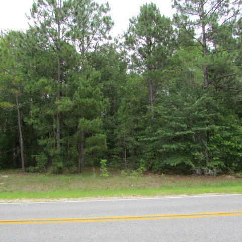 00 CV Mosley Blvd, Vidalia, GA 30474 