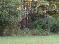 05 Vidalia, Vidalia, GA 30474 