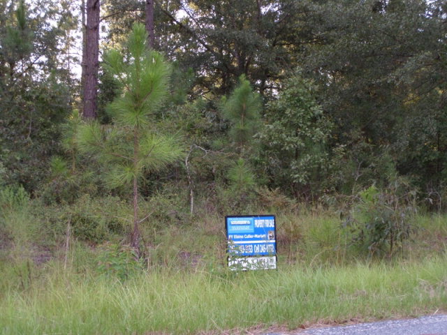 04 Vidalia, Vidalia, GA 30474 