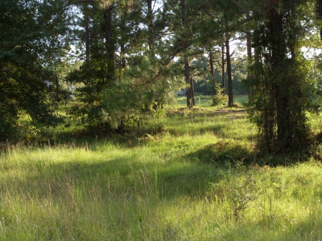 03 Vidalia, Vidalia, GA 30474 