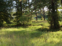 03 Vidalia, Vidalia, GA 30474 