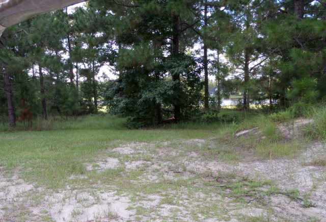 06 Vidalia, Vidalia, GA 30474 