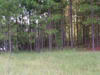 01 Vidalia, Vidalia, GA 30474 