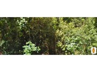 3905 Murray Street, Augusta, GA 30909 