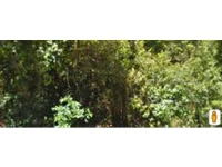 3905 Murray Street, Augusta, GA 30909 