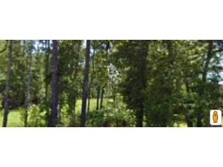 3910 Ruth STreet, Augusta, GA 30909 