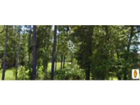 3910 Ruth STreet, Augusta, GA 30909 