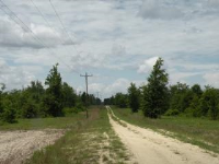 00 U.S. Hwy 280 East, Milan, GA 31060 