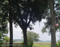 365 Coffee Bluff Villa Rd 2, Savannah, GA 31419 