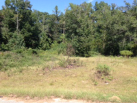 0 Logan Drive, Tifton, GA 31793 