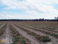 0 Bragg Chester Rd, Statesboro, GA 30461 