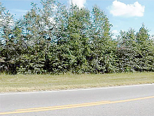 0 Coastal Hwy, Fleming, GA 31309 