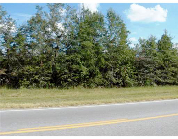 0 N Coastal Highway, Fleming, GA 31309 