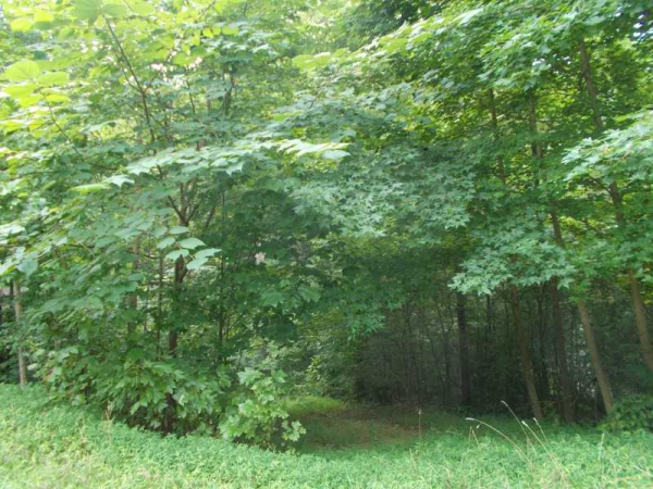 5892 Hubert Stephens Road, Gainesville, GA 30506 