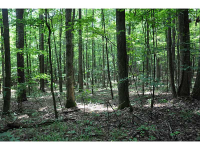 2040 Mars Hill Road, Acworth, GA 30101 