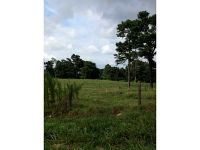 0 Old State Road, Pendergrass, GA 30567 