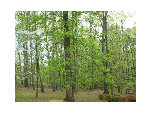 2725 White Road Ne, Conyers, GA 30012 