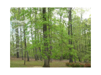 2725 White Road Ne, Conyers, GA 30012 