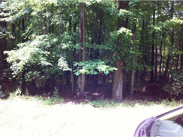 0 Eves Circle, Roswell, GA 30076 