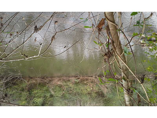 0 Bishop Drive, Canton, GA 30114 