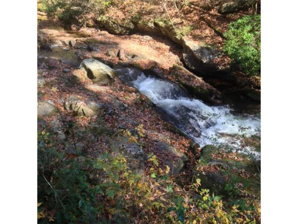 4864 Black Mountain Road, Dahlonega, GA 30533 