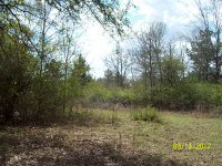 856 Level Creek Road, Sugar Hill, GA 30518 