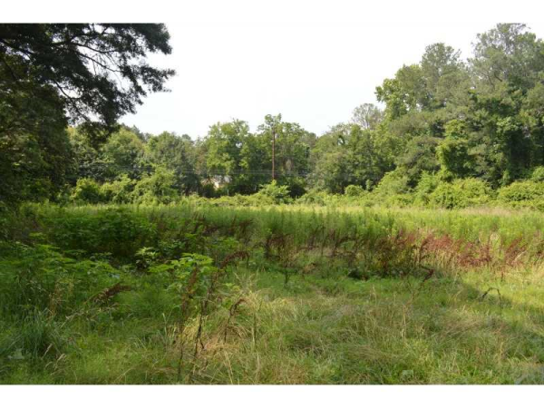 410 Coleman Road, Roswell, GA 30075 