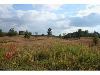 0 Highway 41  Chitwood, Resaca, GA 30735 