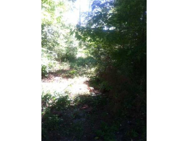 0 Elsberry Mountain, Dallas, GA 30157 