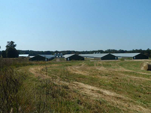 2244 Nesbit Loop, Resaca, GA 30735 