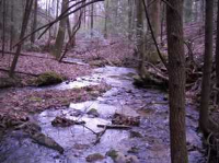 295 Locust Road, Dahlonega, GA 30533 