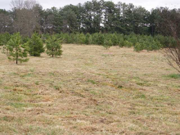 1555 Double Springs Church Road Sw, Monroe, GA 30656 