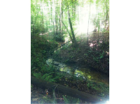 0 Big A Road, Douglasville, GA 30135 