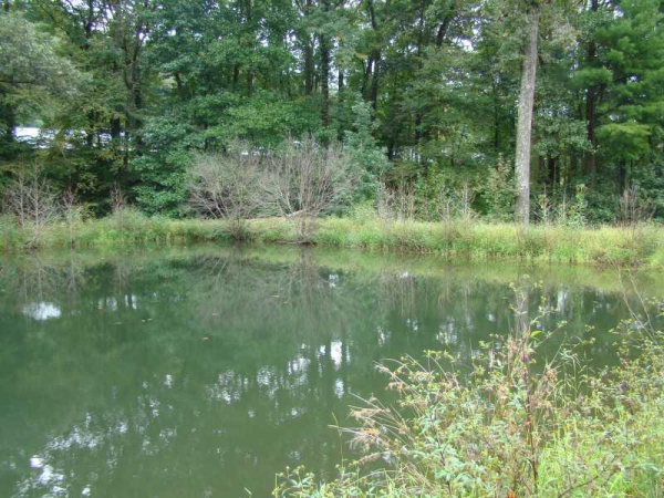 0 Sullivan Drive, Dahlonega, GA 30533 