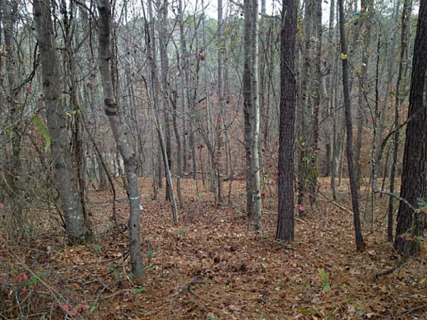 0 Bailey Road, Woodstock, GA 30188 