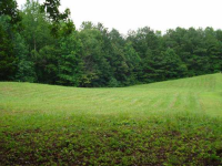 178 Owens Mill Path, Dallas, GA 30132 