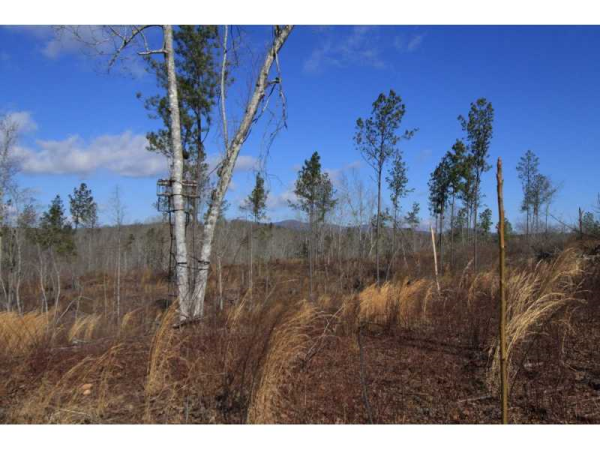 0 Fortner Road, Jasper, GA 30143 