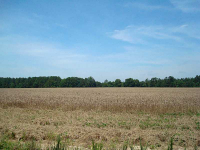 0 Heards Bridge Road E, Davisboro, GA 31018 