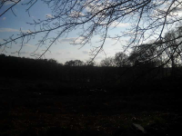 1587 Doc Mclocklin Road, Statham, GA 30666 