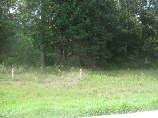 0 Hwy 59, Lavonia, GA 30053 